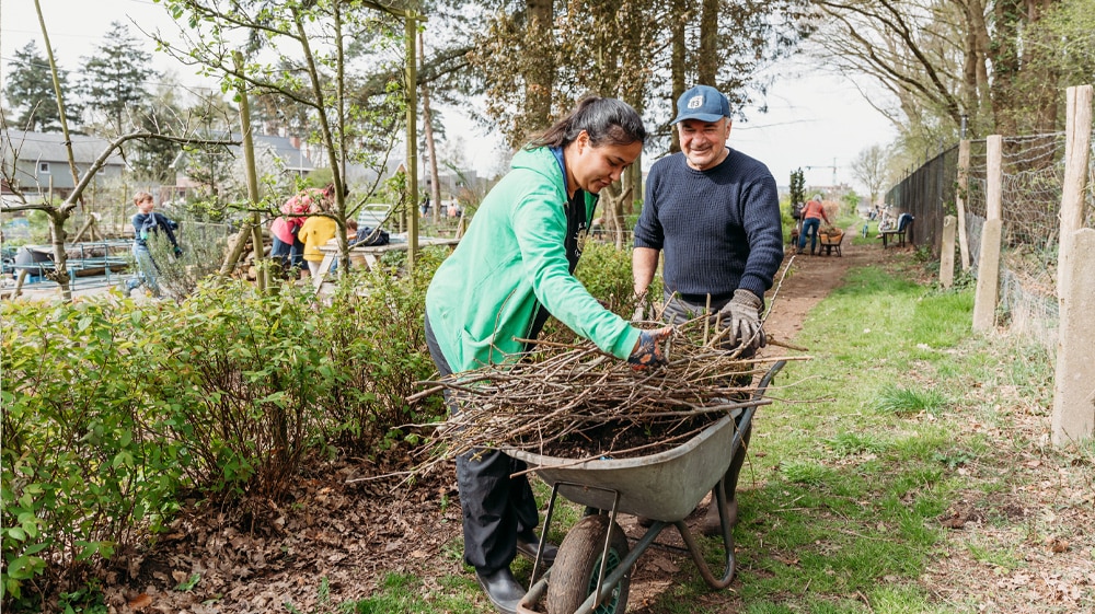 Brievenactie om volkstuinen te behouden