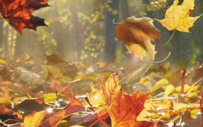 Thomasviering over ‘Loslaten en leven’