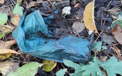 Spontane opruimactie