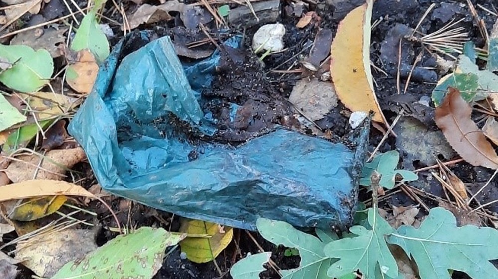 Spontane opruimactie